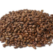 Cassia Seed Extract