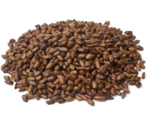 Cassia Seed Extract