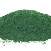 Chlorella Powder