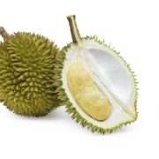 Freeze Dried Durian Powder