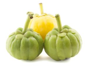 Garcinia Cambogia Extract