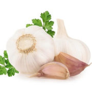 Garlic Extract