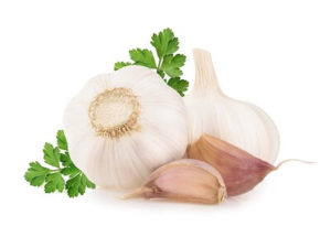 Garlic Extract