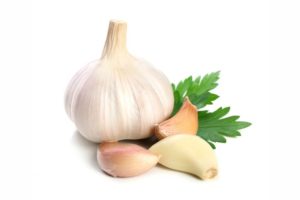Garlic Extract(SFE)