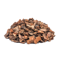 Pine Bark Extract