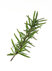 Rosemary Extract(SFE)