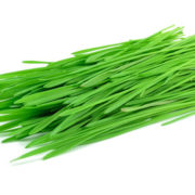 Wheat Grass Powder