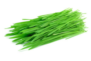 Wheat Grass Powder