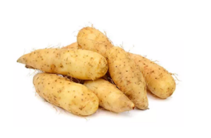 Wild Yam Extract