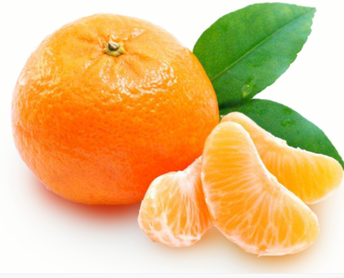 Citrus fruit, Ripe orange.