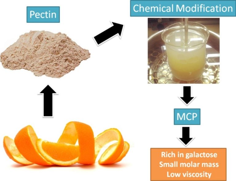 Everything You Should Know About Modified Citrus Pectin (MCP) Santaherb